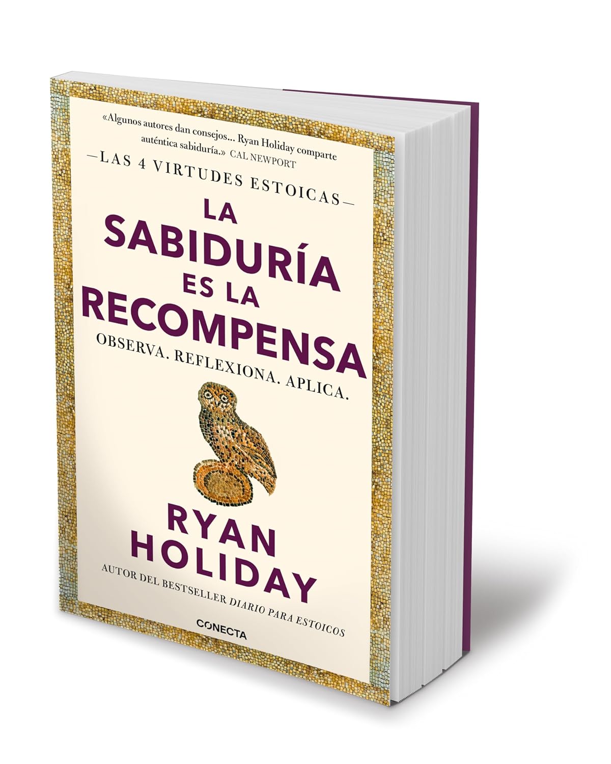 La sabiduría es la recompensa | Observa, Reflexiona y Aplica.